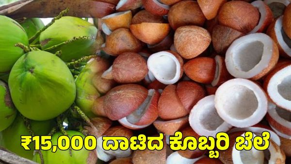 Copra Price: ₹15,000 ದಾಟಿದ ಕೊಬ್ಬರಿ ಬೆಲೆ; ಮತ್ತಷ್ಟು ಹೆಚ್ಚಳ ಸಾಧ್ಯತೆ