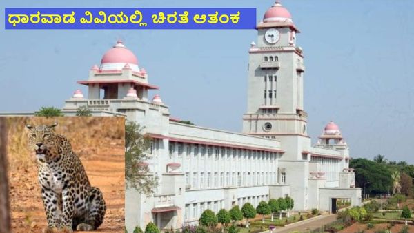 Leopard: ಧಾರವಾಡ ವಿಶ್ವವಿದ್ಯಾಲಯದಲ್ಲಿ ಹೆಚ್ಚಿದ ಚಿರತೆ ಆತಂಕ, 3 ವಾರದಿಂದ ಪತ್ತೆ ಆಗದ ಚಿರತೆ