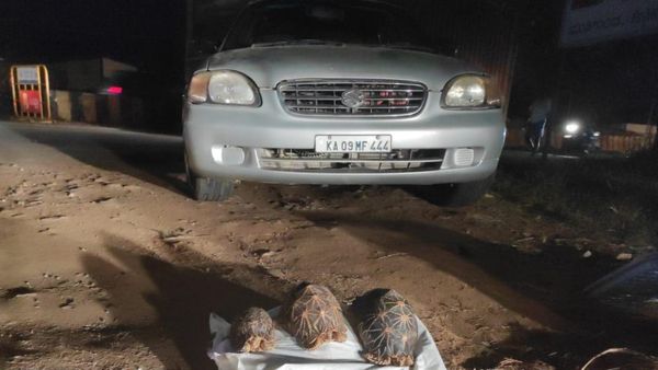 ಕೊಳ್ಳೇಗಾಲ: ನಕ್ಷತ್ರ ಆಮೆ ಸಾಗಾಟ ಮಾಡುತ್ತಿದ್ದ ಮೂವರ ಬಂಧನ