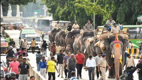 Mysuru Dasara 2024: ಗಜಪಡೆ ತಾಲೀಮಿಗೆ ಹೊಸ ಕಳೆ: ಭಾರದ ತಾಲೀಮು ಶುರು!