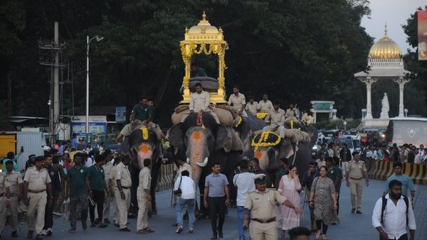ಮೈಸೂರು ದಸರಾ: ಮರದ ಅಂಬಾರಿ ಹೊರುವ ತಾಲೀಮು ಆರಂಭಿಸಿದ ಗಜಪಡೆ