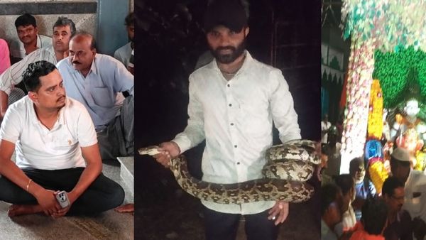 Shivamogga News: ಅಡಿಕೆ ತೂಕದಲ್ಲಿ ಮೋಸ: ಗಣೇಶ ವಿಸರ್ಜನೆ ವೇಳೆ ವಿದೇಶಿ ಪ್ರವಾಸಿಗರ ಡ್ಯಾನ್ಸ್- ಹೆಬ್ಬಾವು ಸೆರೆ