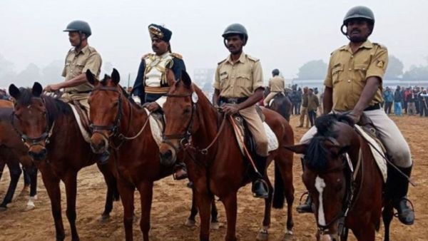 Horse: ಸೃಷ್ಠಿಯ ಸುಂದರ, ಸೂಕ್ಷ್ಮ ಹೃದಯದ ಪ್ರಾಣಿ ಕುದುರೆ: ಯಾಕೆ ಗೊತ್ತಾ?