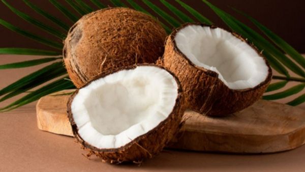 World Coconut Day 2024: ಇಂದು ವಿಶ್ವ ತೆಂಗು ದಿನಾಚರಣೆ: ಈ ದಿನದ ಇತಿಹಾಸ ವಿಶೇಷತೆ ತಿಳಿಯಿರಿ