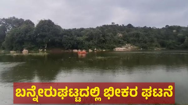 ಬನ್ನೇರುಘಟ್ಟ ಜೈವಿಕ ಉದ್ಯಾನವನದಲ್ಲಿ ಭೀಕರ ಘಟನೆ: ಆನೆ ನೋಡಿಕೊಳ್ಳುತ್ತಿದ್ದ ವ್ಯಕ್ತಿಗೆ ಆಗಿದ್ದು ಏನು?