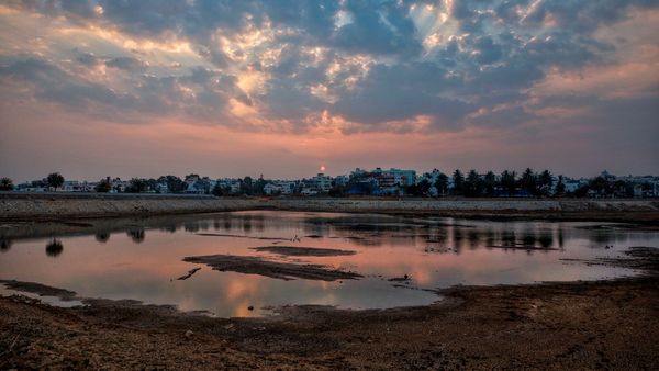 ಬೆಂಗಳೂರು ಕೆರೆಗಳಲ್ಲಿ ನಾಳೆಯಿಂದ ಈ ಕೆಲಸ ಮಾಡಲಿದೆ ಬಿಬಿಎಂಪಿ