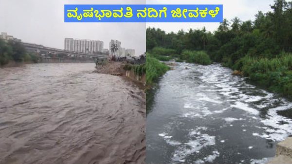 Vrishabhavathi: ಭಾರೀ ಮಳೆಗೆ ಉಕ್ಕಿ ಹರಿಯುತ್ತಿರುವ ಬೆಂಗಳೂರಿನ 'ವೃಷಭಾವತಿ ನದಿ', ವಿಡಿಯೋ