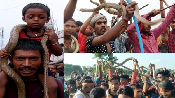 Snake Fair: ಜನರ ಕತ್ತಿನಲ್ಲಿ, ಕೈಯಲ್ಲಿ, ಬಾಯಲ್ಲಿ ಭುಸುಗುಡುವ ನಾಗ, ಈ ಗ್ರಾಮದಲ್ಲಿ ನಡೆಯುತ್ತೆ ಹಾವುಗಳ ಜಾತ್ರೆ!