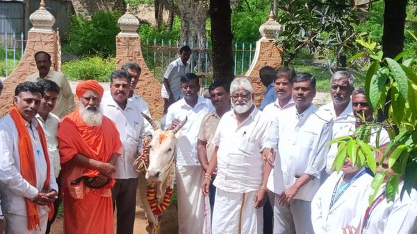 ನಿಜಗುಣ ಮಠದಲ್ಲಿ ಉಚಿತ ಆಯುರ್ವೇದ ತಪಾಸಣಾ ಶಿಬಿರ: ಏನಿದರ ವಿಶೇಷ?