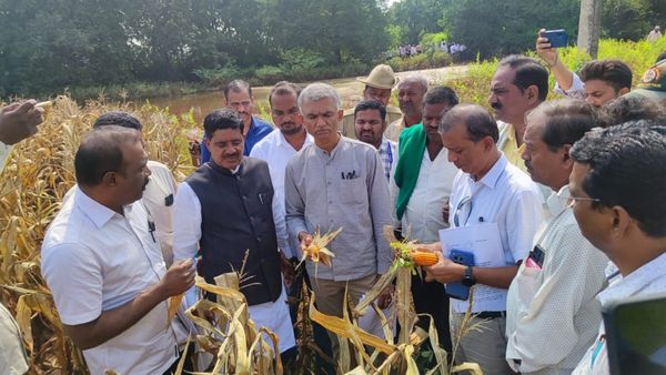 ಮಳೆಯಿಂದಾಗಿ ಬೆಳೆ ನಷ್ಟ: 15 ದಿನದಲ್ಲಿ ರೈತರ ಖಾತೆಗೆ ಪರಿಹಾರ ಜಮೆ 