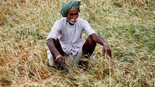 Farmers: ರೈತರ ಕಣ್ಣಲ್ಲಿ ನೀರು ತರಿಸಿದ ವರುಣ: ಬಿತ್ತನೆ ಕಾರ್ಯಕ್ಕೆ ಮಳೆ ಅಡ್ಡಿ!