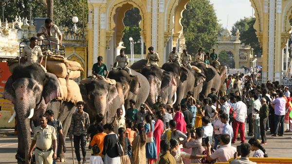 Mysuru Dasara: ರಿಲ್ಯಾಕ್ಸ್ ಮೂಡಿಗೆ ಜಾರಿದ ಜಂಬೂ ಸವಾರಿ ಗಜಪಡೆ