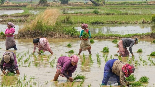 ಮುಂಗಾರು ಹಂಗಾಮು ಬೆಳೆ ಸಮೀಕ್ಷೆ: ರೈತರಿಗೆ ಮಹತ್ವದ ಮಾಹಿತಿ 