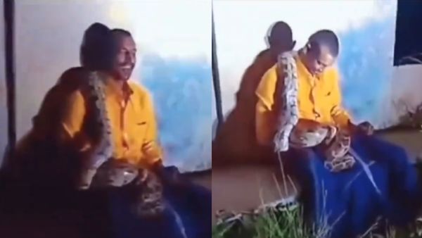 Video Viral: ಮೈಮೇಲೆ ಹೆಬ್ಬಾವು ಹರಿದಾಡಿದರೂ ಅಲುಗಾಡದ ಲಾರಿ ಚಾಲಕ