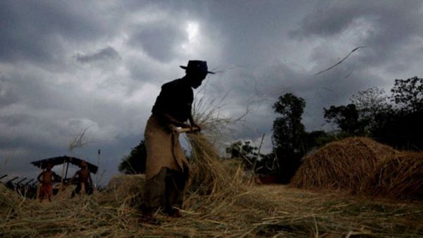 Heavy Rain: ಹಾವೇರಿ ಜಿಲ್ಲೆಯ ಈ ಭಾಗದಲ್ಲಿ ಭಾರೀ ಮಳೆಯಿಂದ ಬೆಳೆಗಳು ಜಲಾವೃತ-ಅನ್ನದಾತ ಕಂಗಾಲು