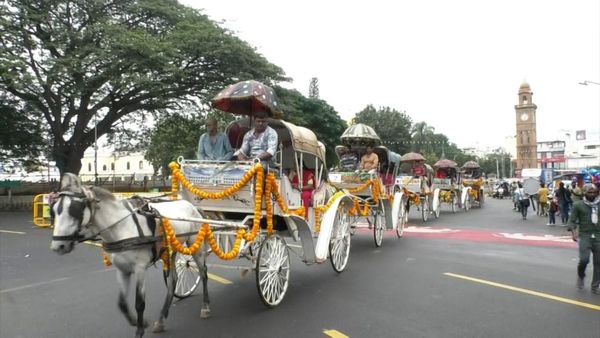 Mysuru Dasara: ಮಳೆಯ ನಡುವೆಯೂ ಪಾರಂಪರಿಕ ಟಾಂಗಾ ಸವಾರಿ
