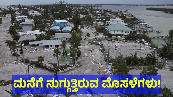ಮೊಸಳೆ ಬಂತು ಮೊಸಳೆ: ಚಂಡಮಾರುತದ ನಂತರ ಶುರುವಾಯ್ತು ಹೊಸ ಭಯ!