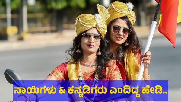 ‘ನಾಯಿಗಳು & ಕನ್ನಡಿಗರು’ ಎಂದು ಪೋಸ್ಟ್ ಶೇರ್ ಮಾಡಿದ್ದ ಹೇಡಿ ಎಸ್ಕೇಪ್?