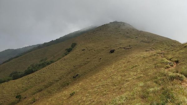 Kumara Parvatha Trek: ಕುಮಾರ ಪರ್ವತ ಚಾರಣ, ಆನ್‌ಲೈನ್ ಟಿಕೆಟ್‌ ಬುಕ್ ವಿವರ