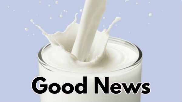 Milk Prices Increase: ರಾಜ್ಯದ ರೈತರಿಗೆ ಬಿಗ್‌ ಗುಡ್‌ ನ್ಯೂಸ್‌: ಹಾಲಿನ ದರ ಹೆಚ್ಚಳದ ಸುಳಿವು.!-ಎಷ್ಟು ಗೊತ್ತಾ?