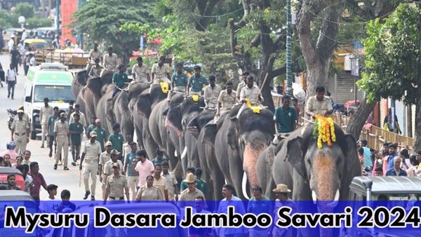 Mysuru Dasara Jamboo Savari 2024: ಜಂಬೂಸವಾರಿಗೆ ಗಜಪಡೆ ಸಜ್ಜು.. ಅರ್ಜುನನ ಸ್ಥಾನ ತುಂಬಲಿದೆ ಈ ಆನೆ