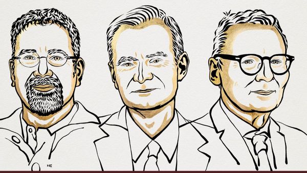 Nobel Economics Prize 2024: ಅರ್ಥಶಾಸ್ತ್ರ ನೊಬೆಲ್‌; ಮೂವರಿಗೆ ತಜ್ಞರಿಗೆ ಪ್ರಶಸ್ತಿಯ ಗರಿ