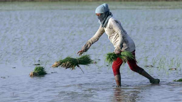 PM Kisan Yojana 18th Installment: ಈ ಅಪ್ಡೇಟ್‌ ಮಾಡದಿದ್ದರೆ ಪಿ.ಎಂ ಕಿಸಾನ್‌ ಹಣ ಬರಲ್ಲ ! 