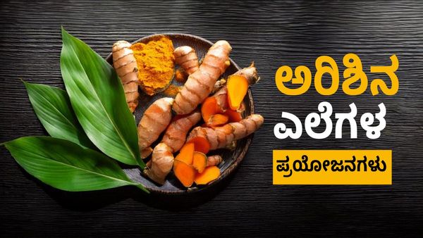 Turmeric leaves benefits: ಅರಿಶಿನ ಎಲೆಗಳ ಪ್ರಯೋಜನದ ಬಗ್ಗೆ ನಿಮಗೆಷ್ಟು ಗೊತ್ತು? ಚರ್ಮದ ಆರೋಗ್ಯಕ್ಕೆ ಇದೆಷ್ಟು ಸಹಕಾರಿ?