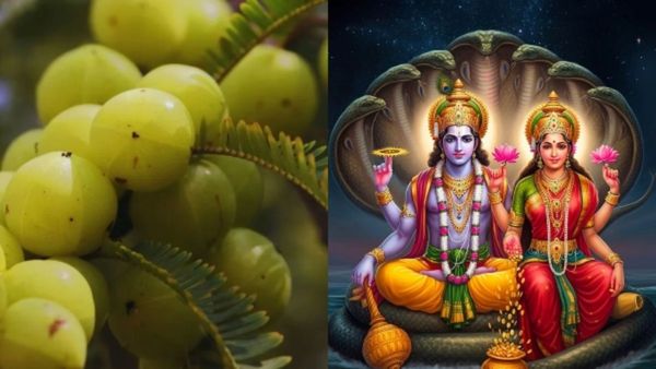 Akshay Navami 2024: ಆರೋಗ್ಯ ಸಂಪತ್ತಿಗಾಗಿ ಅಕ್ಷಯ ನವಮಿಯಂದು ಈ 5 ಕೆಲಸ ಮಾಡಿ