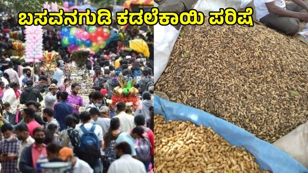 Kadalekai Parishe 2024: ಇದೇ ನವೆಂಬರ್‌ಗೆ ಬಸವನಗುಡಿ ಕಡಲೆಕಾಯಿ ಪರಿಷೆ: ಶುಲ್ಕ ರಹಿತ ಮಳಿಗೆಗಳು..
