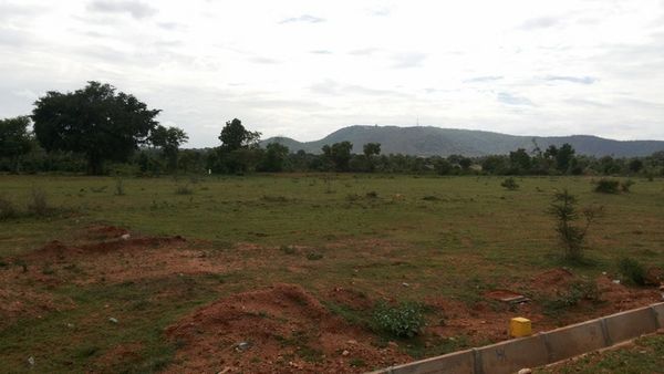 BDA Site: 171 ಬಿಡಿಎ ಸೈಟುಗಳು ಹರಾಜಿನ ಮೂಲಕ ಮಾರಾಟ, ವಿವರ