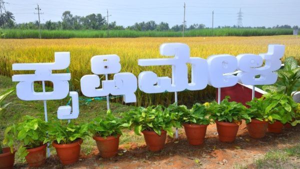 Bengaluru Krishi Mela 2024: ನವೆಂಬರ್ 14 ರಿಂದ ನಾಲ್ಕು ದಿನ ಕೃಷಿ ಮೇಳ: ಹೊಸ ತಳಿಗಳ ಬಿಡುಗಡೆ