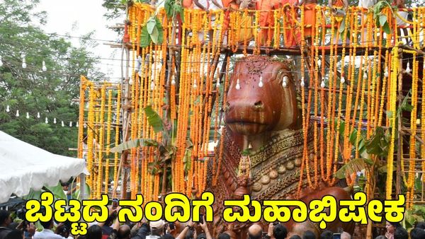 Mysuru: ಬೆಟ್ಟದ ನಂದಿಗೆ ಮಹಾಭಿಷೇಕ; ಸಂಭ್ರಮದಿಂದ ಭಾಗವಹಿಸಿದ ಭಕ್ತರು