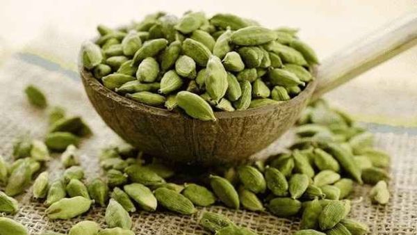 Cardamom: ಏಲಕ್ಕಿ ಬೆಳೆಗಾರರಿಗೆ ಶುಕ್ರದೆಸೆ ಶುರು: ಹೇಗೆ ಗೊತ್ತಾ?