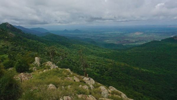 B.R Hills: ಬಿಳಿಗಿರಿರಂಗನ ಬೆಟ್ಟಕ್ಕಿದೆ ಇನ್ನಷ್ಟು ಹೆಸರುಗಳು: ಏನಿದರ ವಿಶೇಷ?