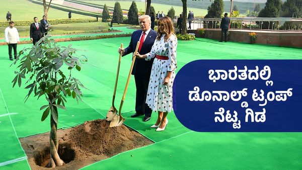 Donald Trump: ಭಾರತದಲ್ಲಿ ಸಸಿ ನೆಟ್ಟ ಡೊನಾಲ್ಡ್ ಟ್ರಂಪ್: ಅದು ಯಾವುದು? ಎಲ್ಲಿದೆ? ಈಗ ಹೇಗಿದೆ? 