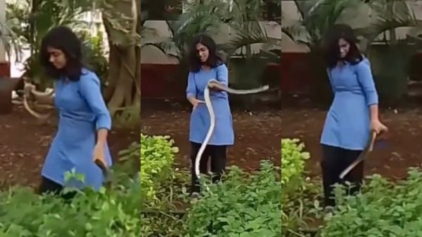 Video Viral: ಬರಿಗೈಲೇ ನಾಗರಹಾವು ಹಿಡಿದ ವಿದ್ಯಾರ್ಥಿನಿ: ಈಕೆಯ ಧೈರ್ಯಕ್ಕೆ ನೆಟ್ಟಿಗರು ಮೆಚ್ಚುಗೆ