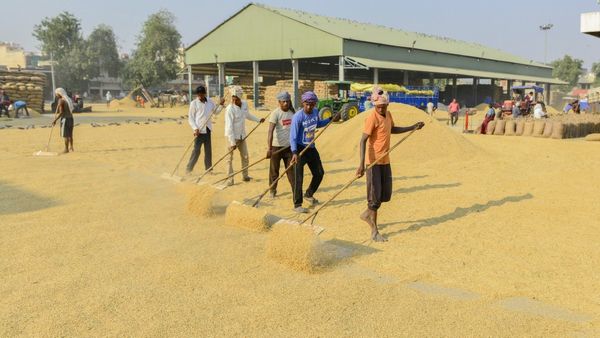 ರೈತರೇ ಗಮನಿಸಿ: ಬೆಂಬಲ ಬೆಲೆ ಯೋಜನೆ, ಭತ್ತ ಖರೀದಿ ಪ್ರಕ್ರಿಯೆಗೆ ದಿನಾಂಕ ನಿಗದಿ