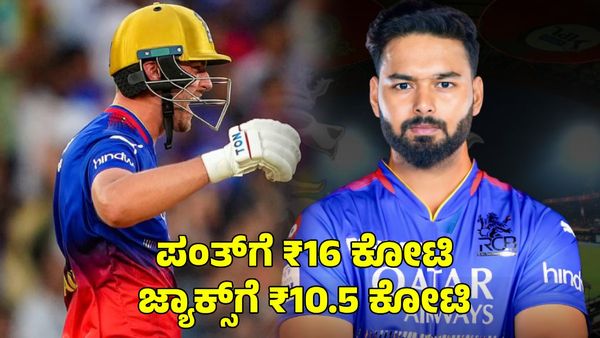  RCB: ರಿಷಬ್‌ ಪಂತ್‌ಗೆ ₹16 ಕೋಟಿ, ವಿಲ್‌ ಜ್ಯಾಕ್ಸ್‌ಗೆ ₹10.5 ಕೋಟಿ; ಆರ್‌ಸಿಬಿ ಸೇರಿದ್ಯಾರು?