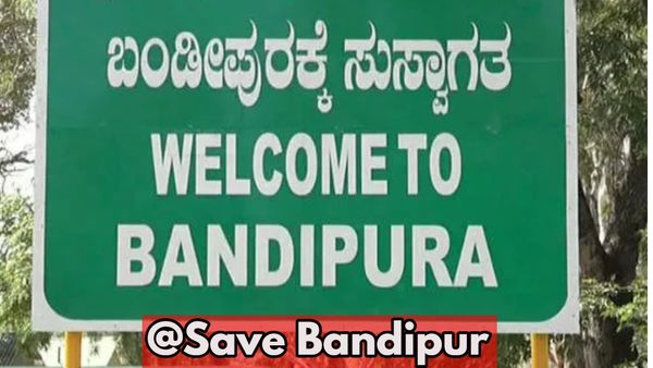 ಹೆಚ್ಚಾಯ್ತು ಸೇವ್ ಬಂಡೀಪುರ ಕೂಗು-ಡಿಕೆಶಿ ವಿರುದ್ಧ ರೊಚ್ಚಿಗೆದ್ದ ಪರಿಸರ ಪ್ರೇಮಿಗಳು