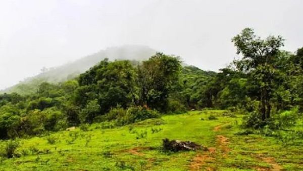 Travel: ಚಾರಣಪ್ರಿಯರ ಸ್ವರ್ಗ ಮಡಿಕೇರಿಯ ತಡಿಯಂಡಮೋಳ್..ಆದರೆ ಎಚ್ಚರ..! ಎಚ್ಚರ..!