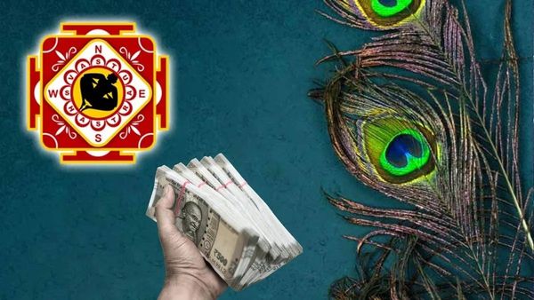 Vastu Tips: ಈ ಪಕ್ಷಿಗಳ ಗರಿ ಮನೆಯಲ್ಲಿದ್ದರೆ ನೂರು ವರ್ಷಗಳ ಪುಣ್ಯದ ಫಲ- ಪ್ರಗತಿ ಕಂಡು ಅಸೂಯೆ ಪಡ್ತಾರೆ ಜನ!