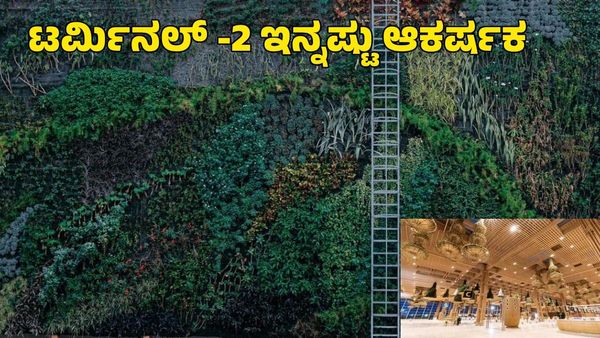 BLR Airport: ಟರ್ಮಿನಲ್-2 ನಲ್ಲಿ ಬೃಹತ್ ಆತ್ಯಾಕರ್ಷಕ 'ವರ್ಟಿಕಲ್ ಗಾರ್ಡನ್', ವಿಶೇಷತೆಗಳೇನು!