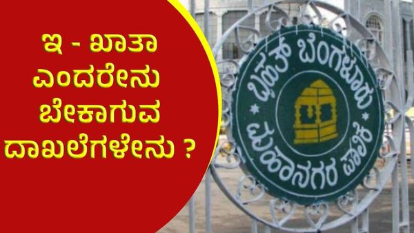 E-khata Good News: ಇ - ಖಾತಾ ಎಂದರೇನು, ಬೇಕಾಗುವ ದಾಖಲೆಗಳೇನು ?