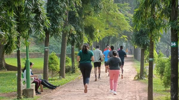 Cubbon Park: ಕಬ್ಬನ್‌ ಪಾರ್ಕ್‌ನಲ್ಲಿ ಇನ್ಮುಂದೆ ಇವೆಲ್ಲ ಮಾಡಂಗಿಲ್ಲ, ಖಡಕ್‌ ರೂಲ್ಸ್‌ ಜಾರಿ