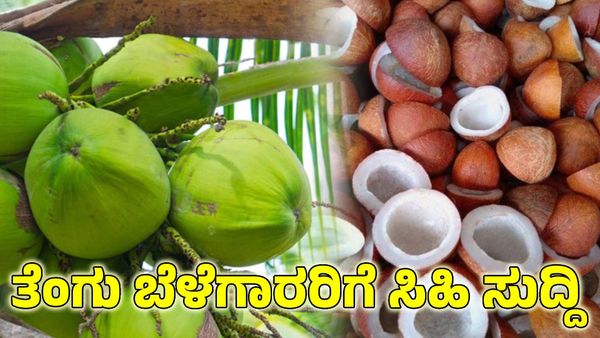 Copra Price: ತೆಂಗು ಬೆಳೆಗಾರರಿಗೆ ಸಿಹಿ ಸುದ್ದಿ ಕೊಟ್ಟ ಕೇಂದ್ರ ಸರ್ಕಾರ