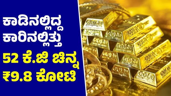 Gold: ಕಾಡಿನಲ್ಲಿ ಅನಾಥವಾಗಿ ನಿಂತಿದ್ದ ಕಾರಿನಲ್ಲಿತ್ತು 52 ಕೆ.ಜಿ ಚಿನ್ನ, ₹9.8 ಕೋಟಿ ಹಣ!