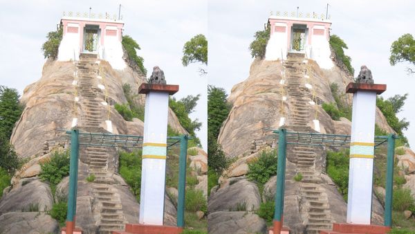 ಗೊಮ್ಮಟಗಿರಿಯಲ್ಲಿ ಮಹಾಮಸ್ತಕಾಭಿಷೇಕದ ಅಮೃತ ಮಹೋತ್ಸವ: ಏನಿದರ ವಿಶೇಷ?