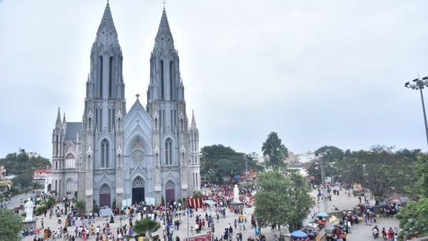 ಹೊಸವರ್ಷಕ್ಕೆ ಮೈಸೂರಿನತ್ತ ಪ್ರವಾಸಿಗರ ದೌಡು: ಭರ್ತಿಯಾದ ಹೋಟೆಲ್‌ಗಳು 