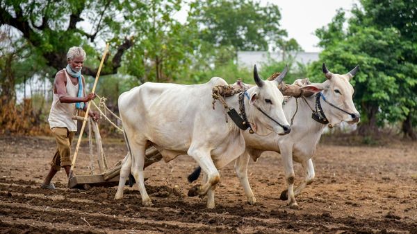 PM Kisan Samman: ಪಿಎಂ ಕಿಸಾನ್ ಸಮ್ಮಾನ್ ನಿಧಿ ಹಣ 12,000ಕ್ಕೆ ಏರಿಕೆ 